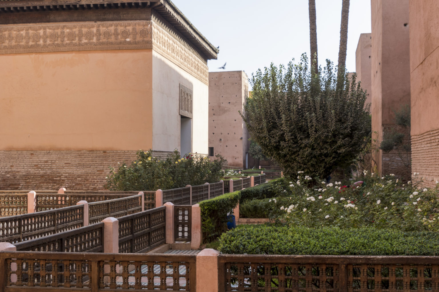 Driss_Zeggani_6P8A0683