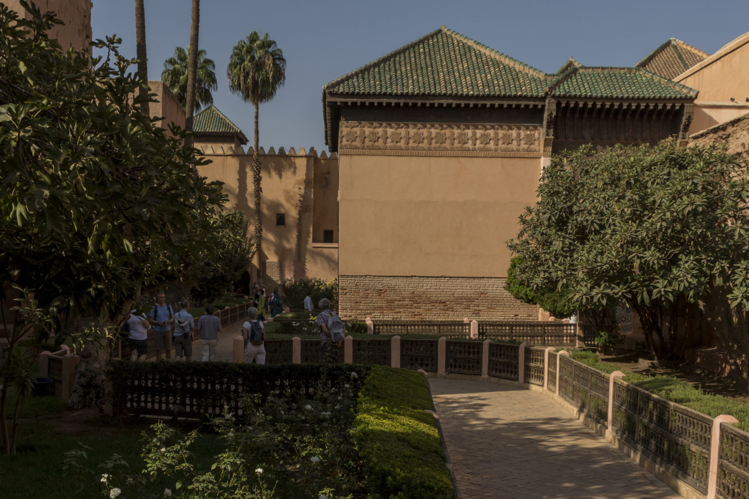 Driss_Zeggani_6P8A0722