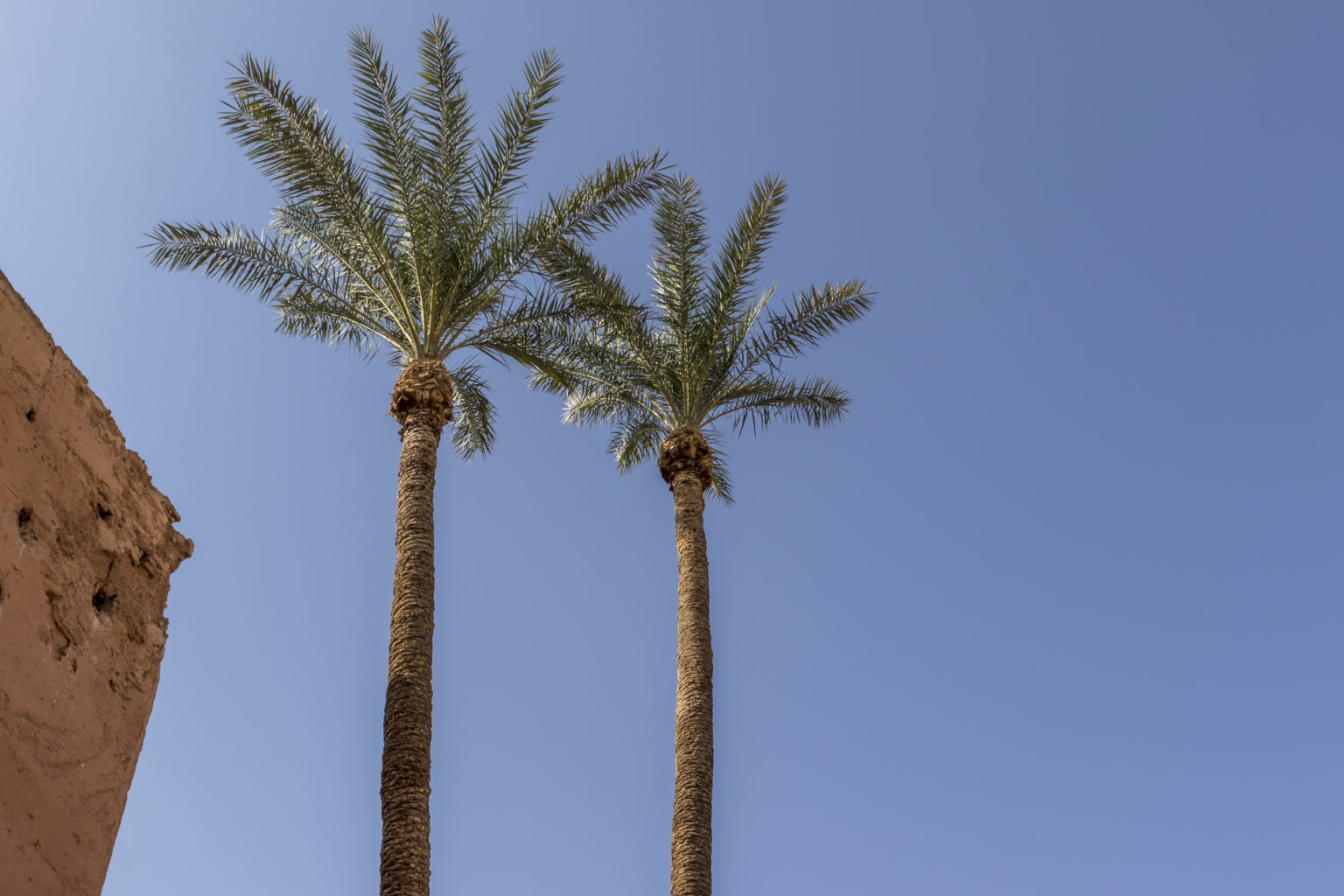 Driss_Zeggani_6P8A0729