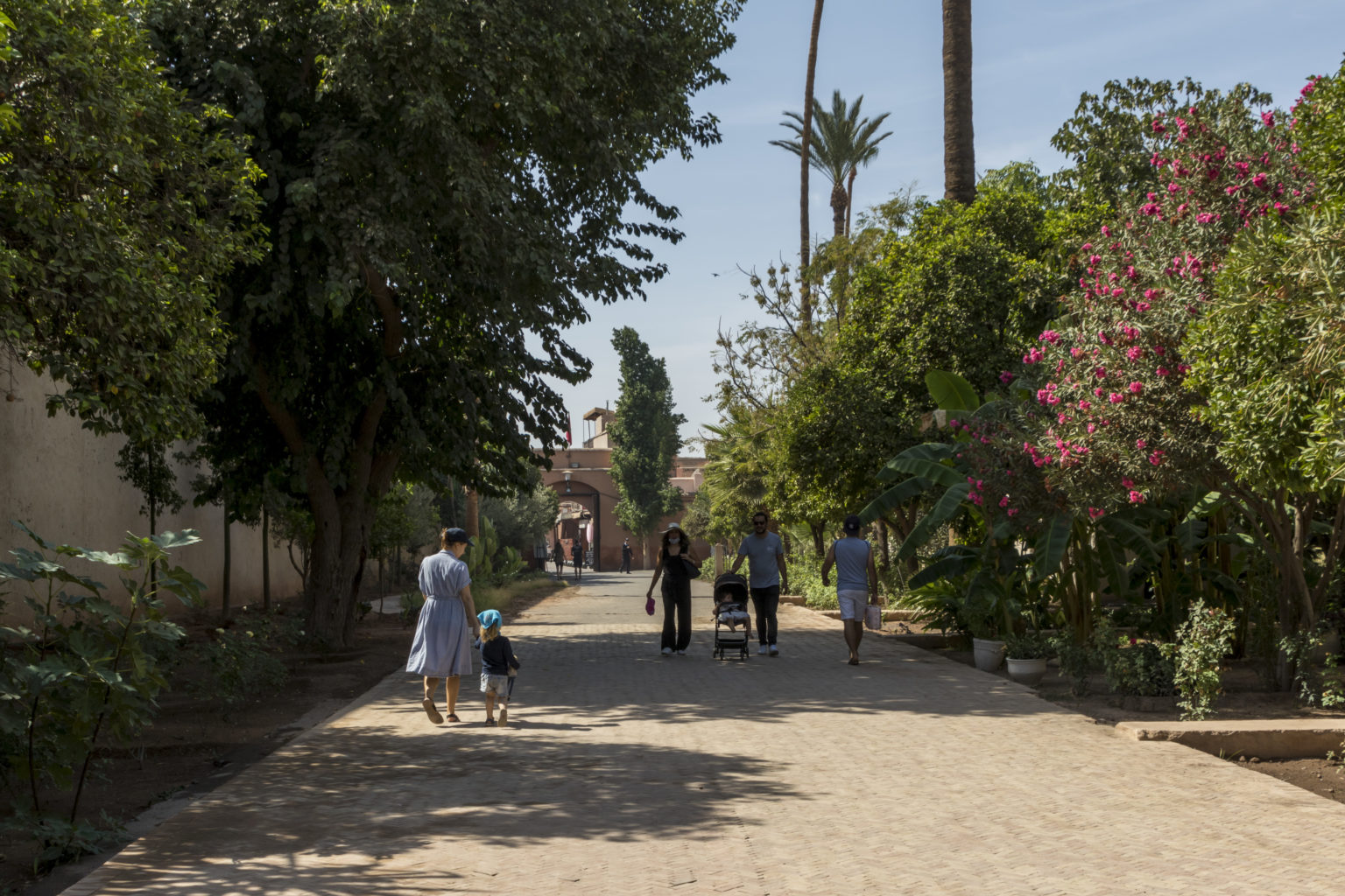 Driss_Zeggani_6P8A0780