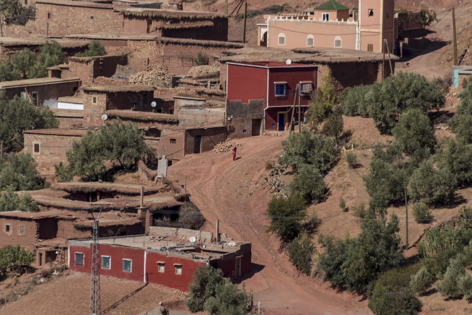 Driss_Zeggani_6P8A0989