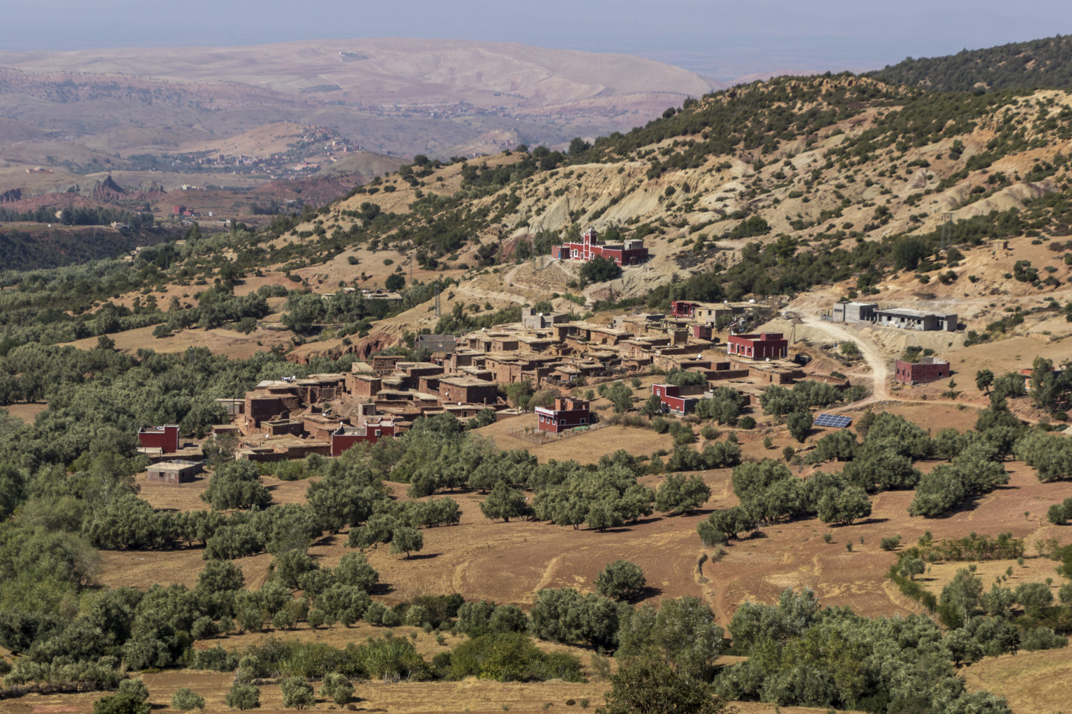 Driss_Zeggani_6P8A0990