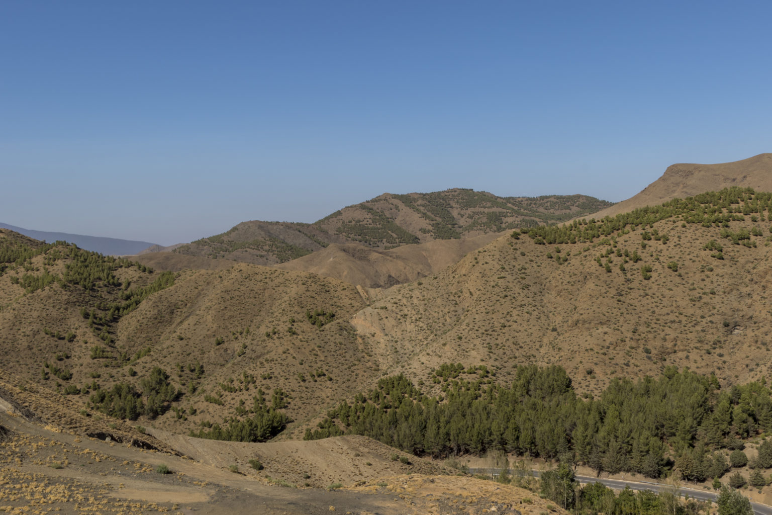 Driss_Zeggani_6P8A1044