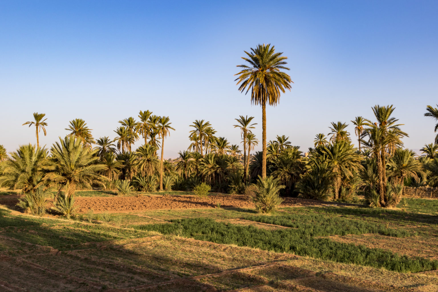 Driss_Zeggani_6P8A1273