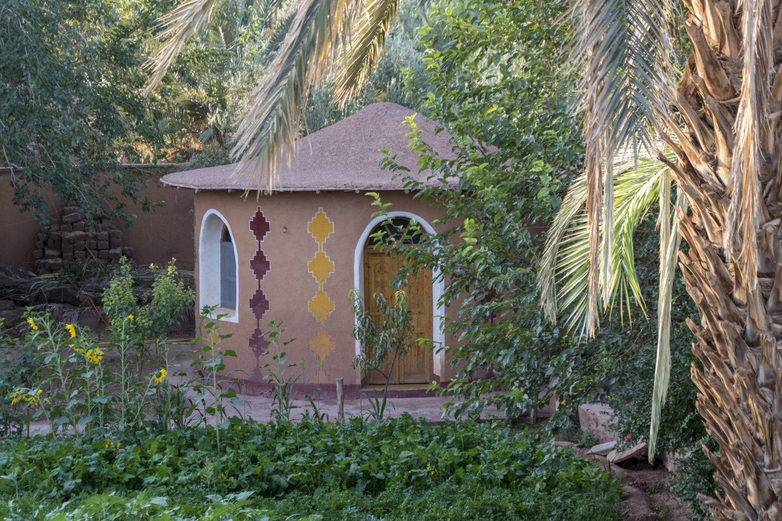 Driss_Zeggani_6P8A1280