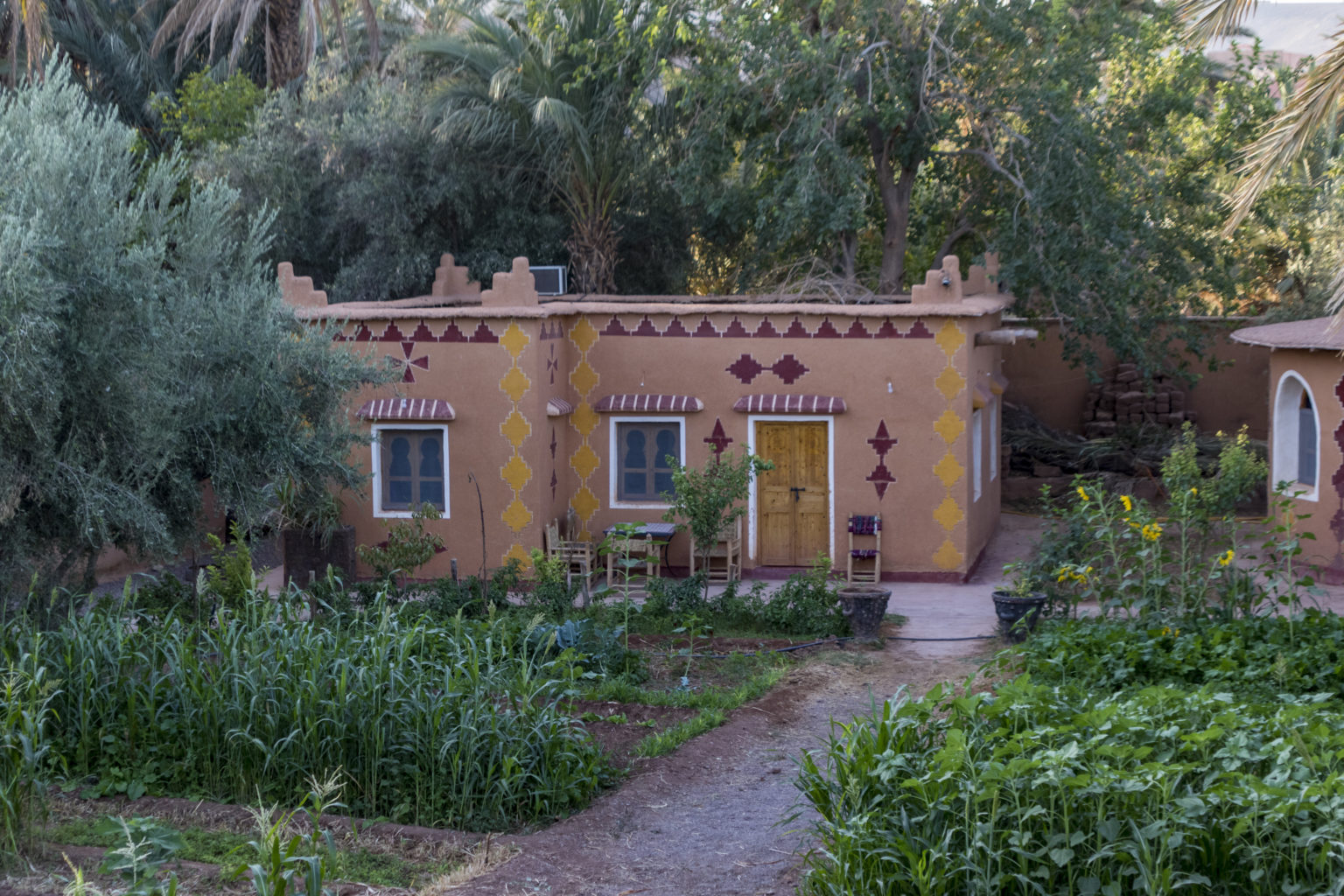 Driss_Zeggani_6P8A1281