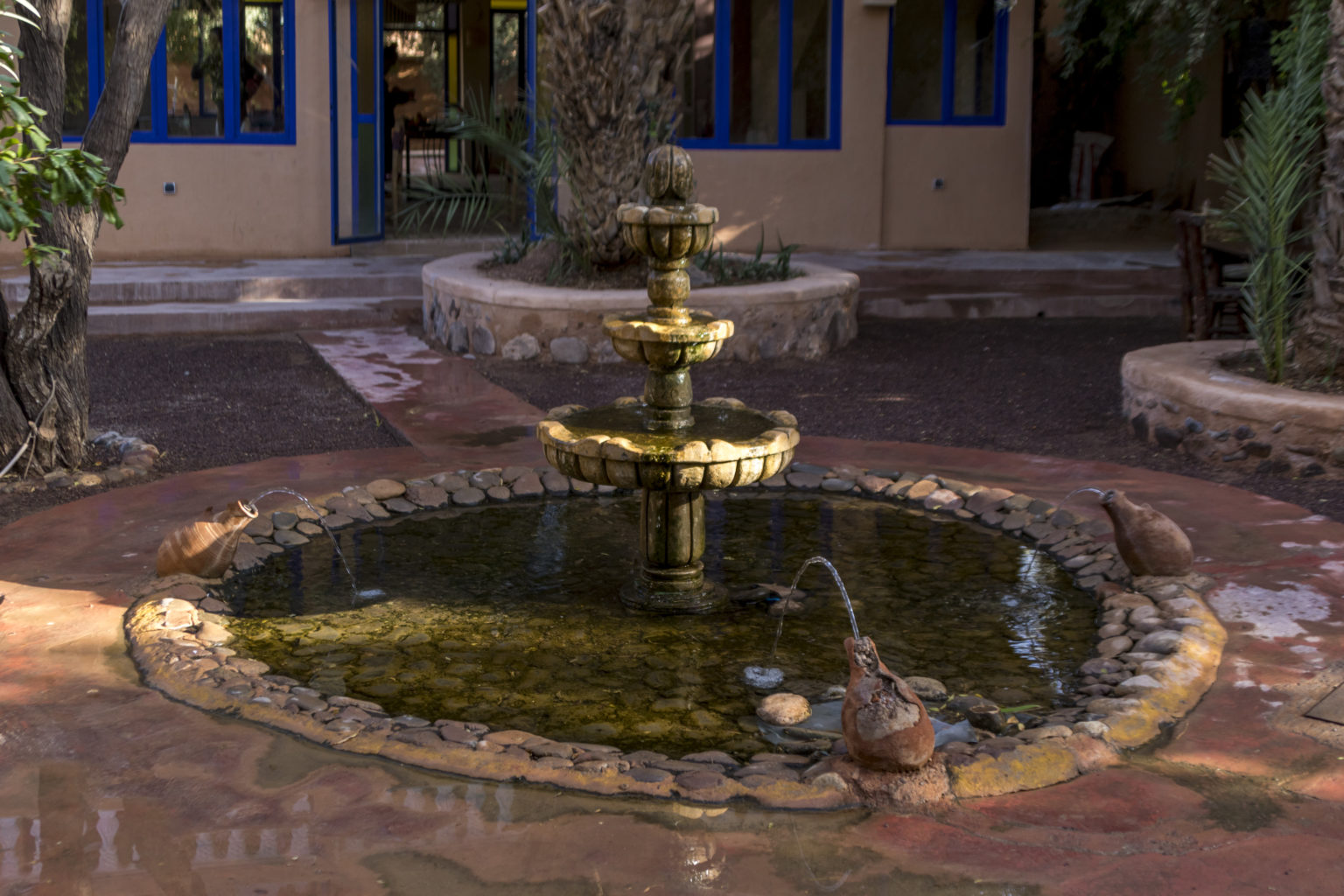 Driss_Zeggani_6P8A1296