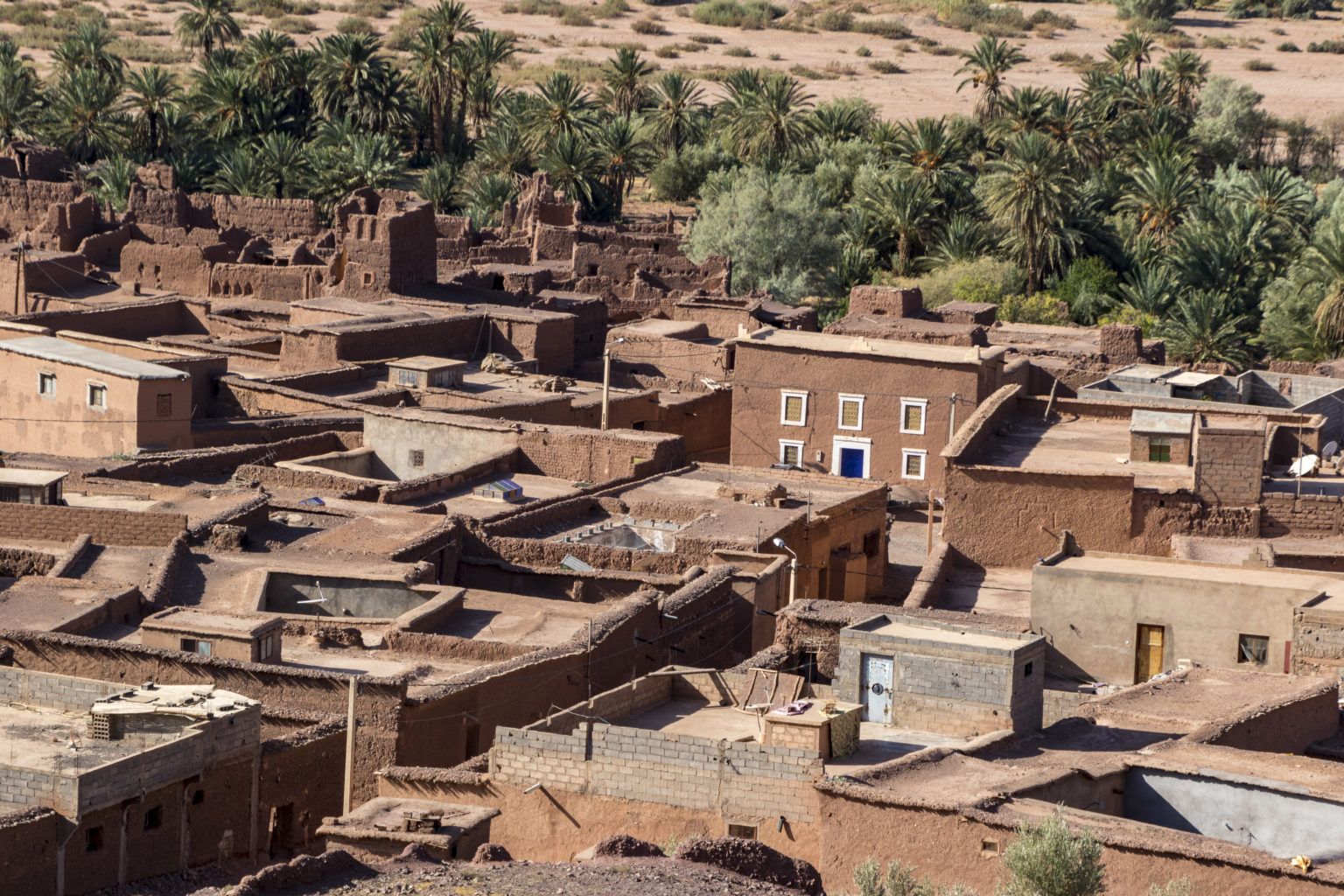 Driss_Zeggani_6P8A1322