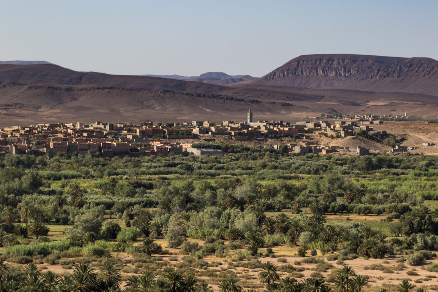 Driss_Zeggani_6P8A1324